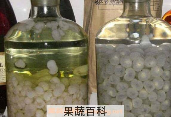 龙眼酒怎么做 龙眼酒的酿制方法