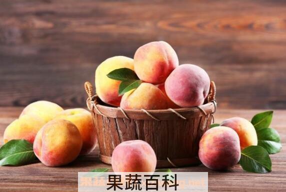 桃子酒怎么做 桃子酒的酿制方法