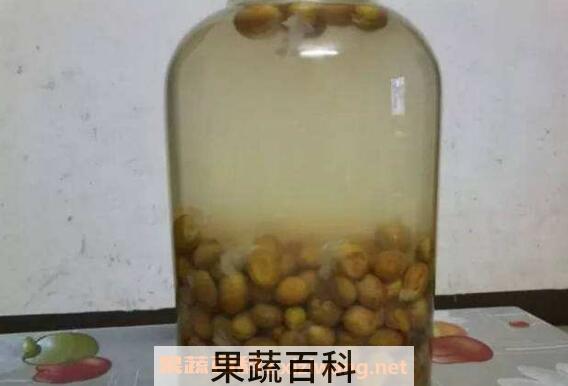黄皮酒怎么做 黄皮酒的制作方法
