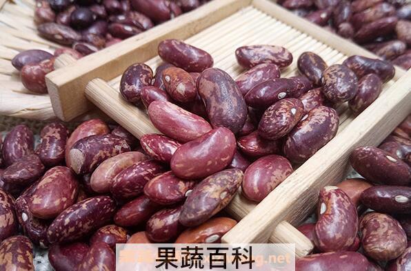 花芸豆的功效与作用