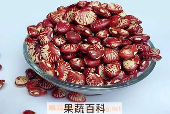 花芸豆的功效与作用