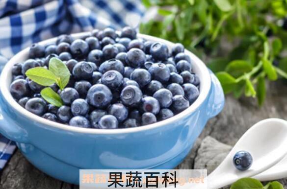 蓝莓酒怎么做 蓝莓酒的做法教程及功效