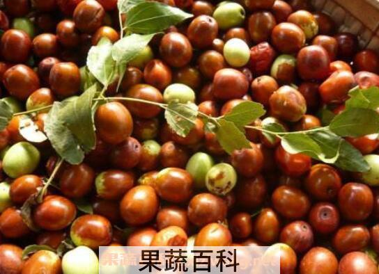 酸仁枣的功效与作用