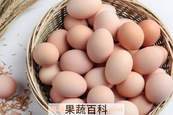 鸡蛋的营养价值 鸡蛋的功效与作用