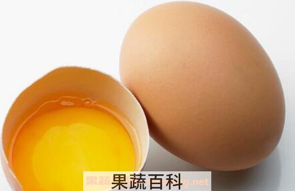 鸡蛋的营养价值 鸡蛋的功效与作用
