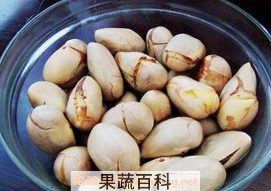 菠萝蜜的核有什么功效 菠萝蜜核的功效与作用