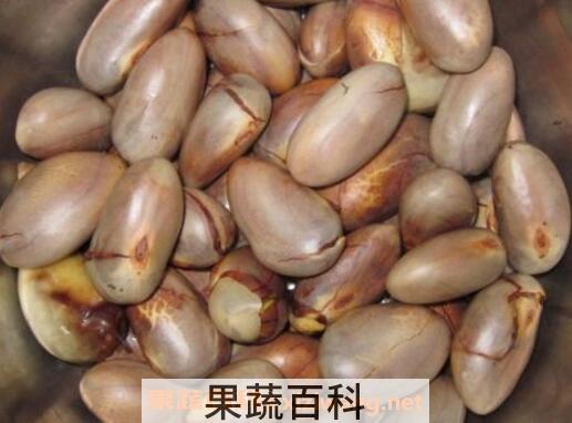 菠萝蜜的核有什么功效 菠萝蜜核的功效与作用