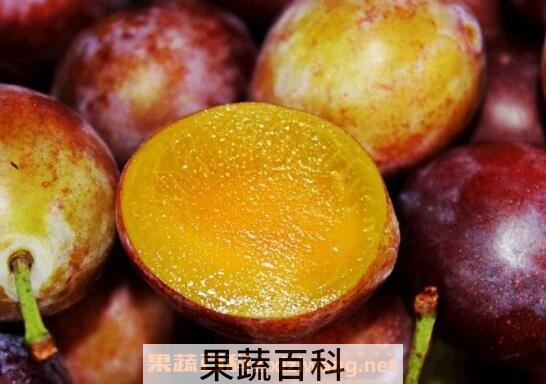 西梅的功效与作用及食用方法