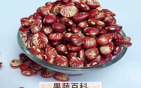 花豆的功效与作用及禁忌 花豆有什么功效