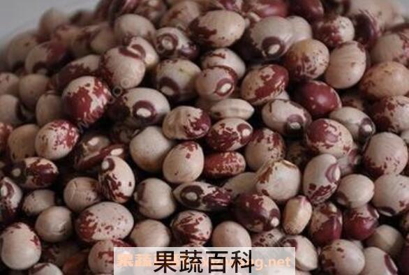 花豆的功效与作用