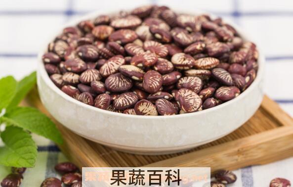 补肾豆的功效与作用