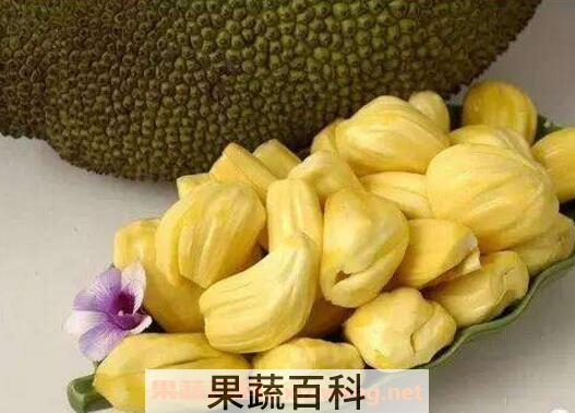 菠萝蜜的营养价值 吃菠萝蜜有什么禁忌