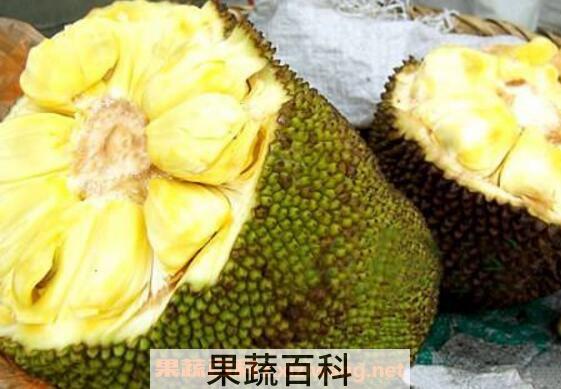 菠萝蜜怎么剥皮 菠萝蜜快速剥皮小窍门