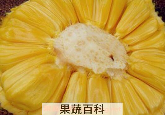 菠萝蜜怎么剥皮 菠萝蜜快速剥皮小窍门