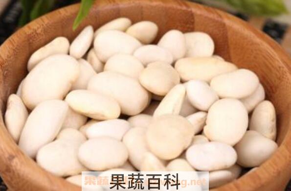 白云豆的功效和作用