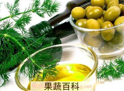 橄榄油怎么吃 橄榄油怎么使用