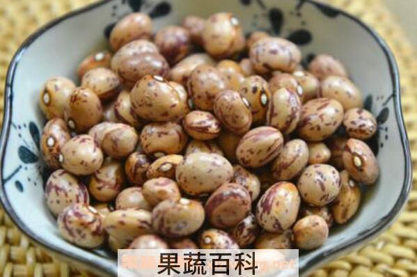 雀蛋豆的功效与作用