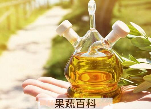 橄榄油怎么吃 橄榄油的食用方法技巧