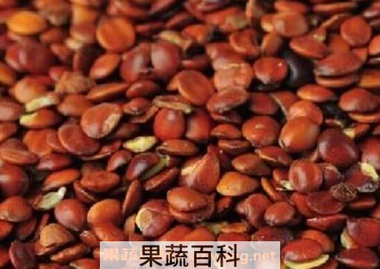 炒酸枣仁的功效与作用 炒酸枣仁的常见吃法
