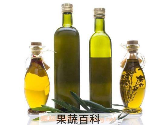 橄榄油的功效与作用及食用方法