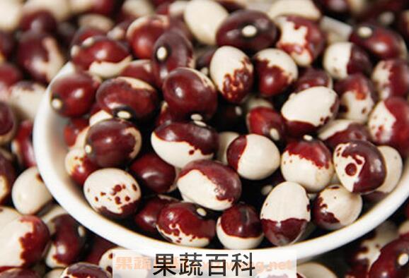 猫眼豆的功效与作用