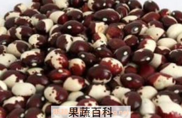 猫眼豆的功效与作用
