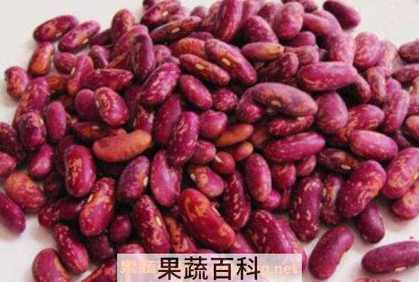 红花芸豆的功效与作用