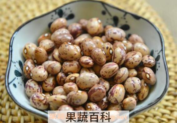 雀蛋豆的功效与作用 雀蛋豆怎么吃好