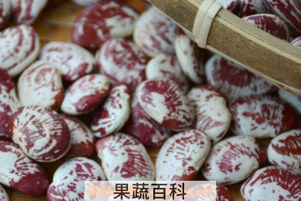  斑马豆的功效与作用 斑马豆怎么吃最好