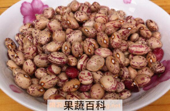 肾豆的功效与作用
