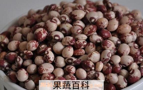 肾豆的功效与作用