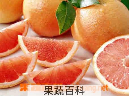 果蔬百科西柚