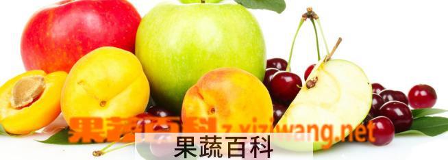 果蔬百科水果