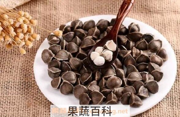 辣木籽的功效与作用及食用方法