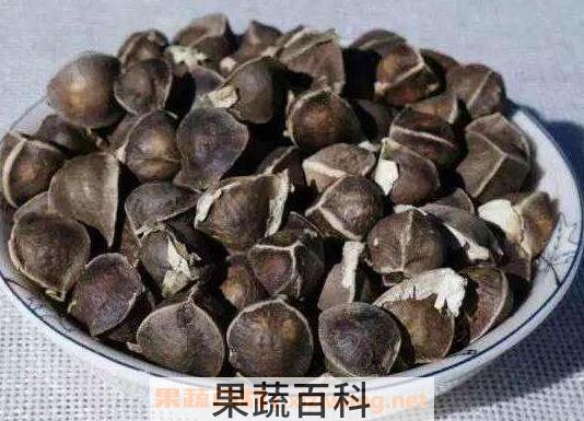 辣木籽的功效与作用及食用方法