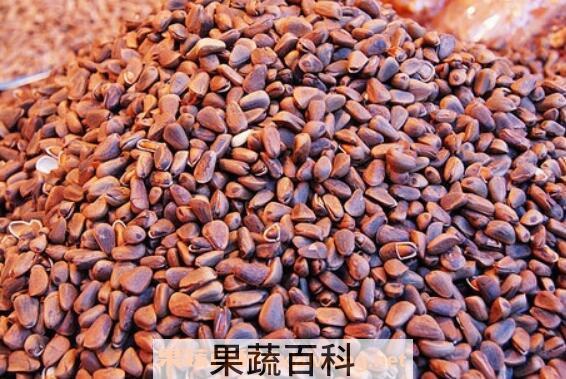松树籽的作用与功效