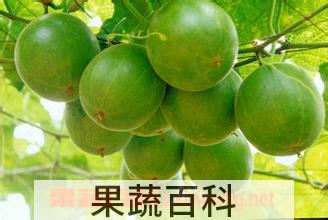 果蔬百科罗汉果