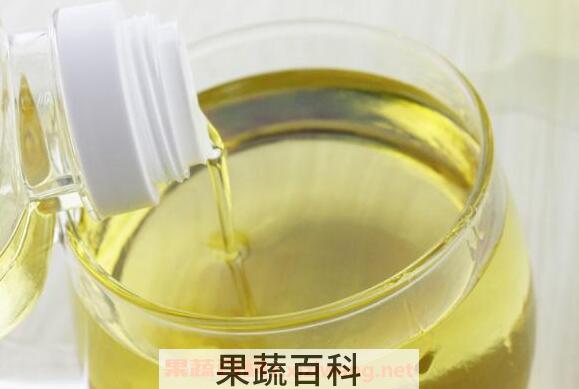 山茶籽油的功效与作用 山茶籽油对男人的功效