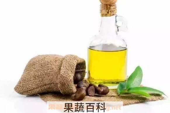 山茶籽油的功效与作用 山茶籽油对男人的功效