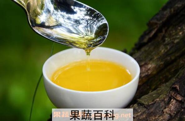 茶籽油的功效与作用 吃茶籽油的好处有哪些
