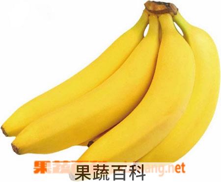 果蔬百科香蕉
