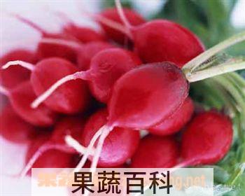 果蔬百科红怒涛