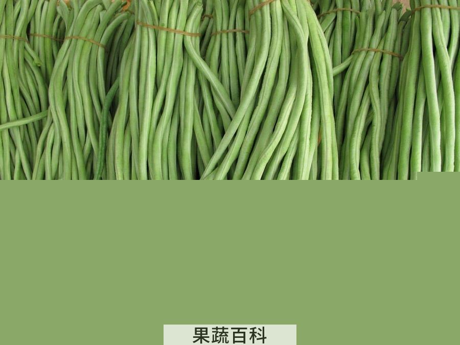 果蔬百科豇豆