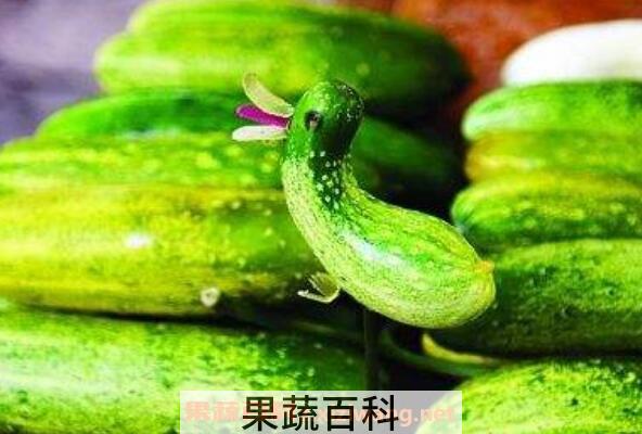 菜瓜的功效与作用
