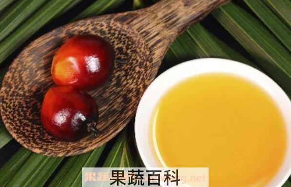 食用棕桐油的危害都有哪些 哪些人不能吃棕榈油