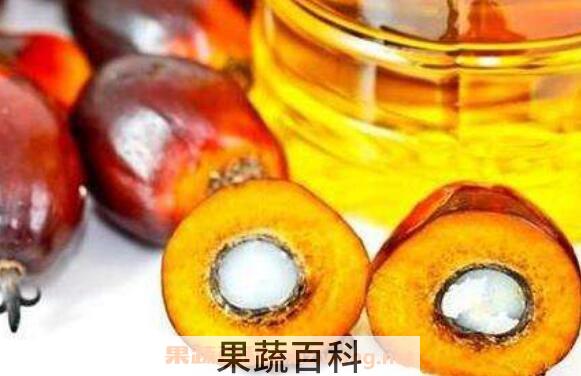食用棕桐油的危害都有哪些 哪些人不能吃棕榈油