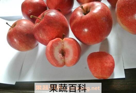 红肉苹果好吃吗 红肉苹果的功效与作用