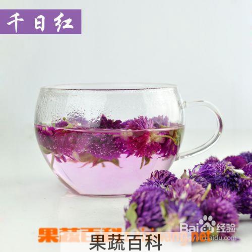 果蔬百科千日红