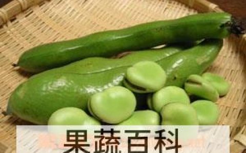 什么是蚕豆病 蚕豆病要注意什么？
