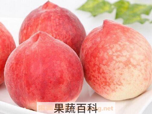 水蜜桃的功效与作用及禁忌